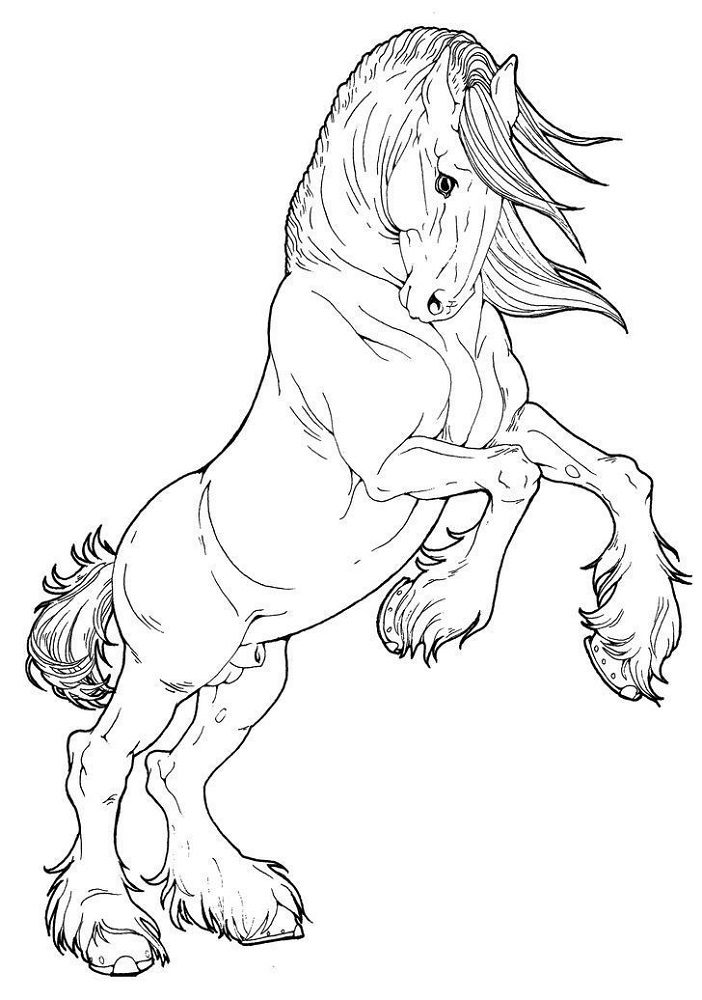 realistic clydesdale horse coloring pages