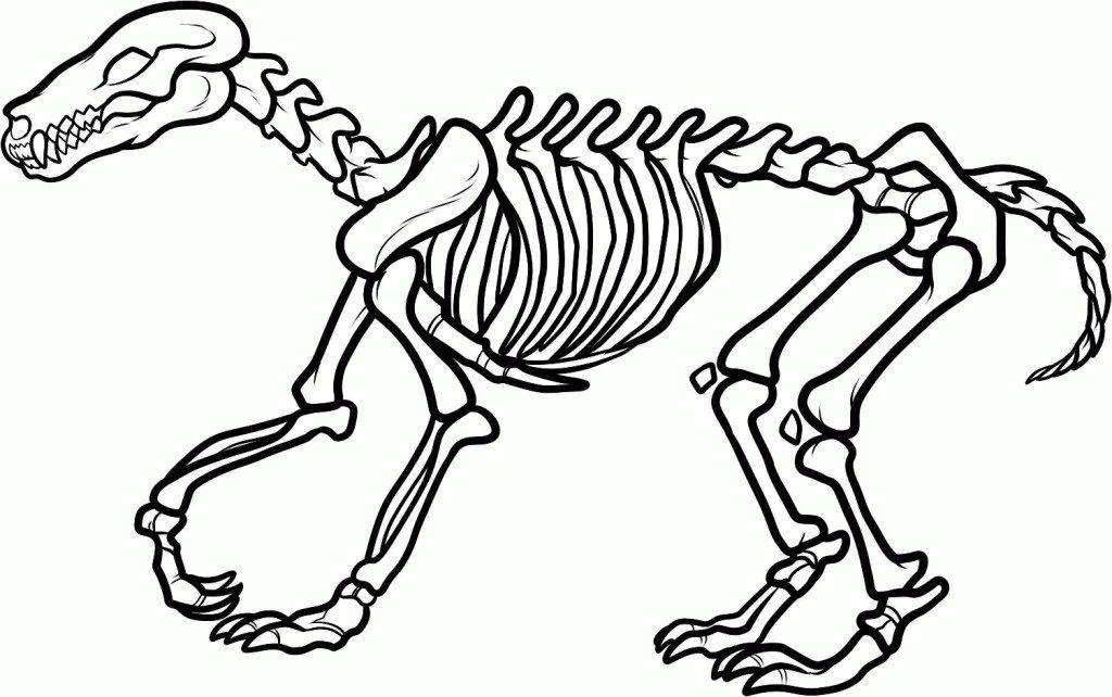 realistic dinosaur bones coloring pages