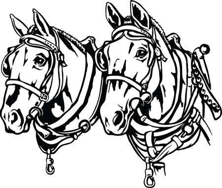 realistic draft horse coloring pages
