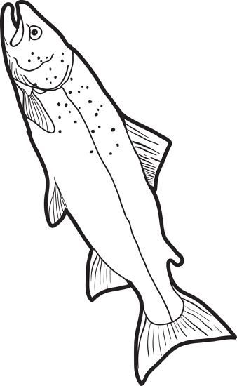 realistic fish coloring pages