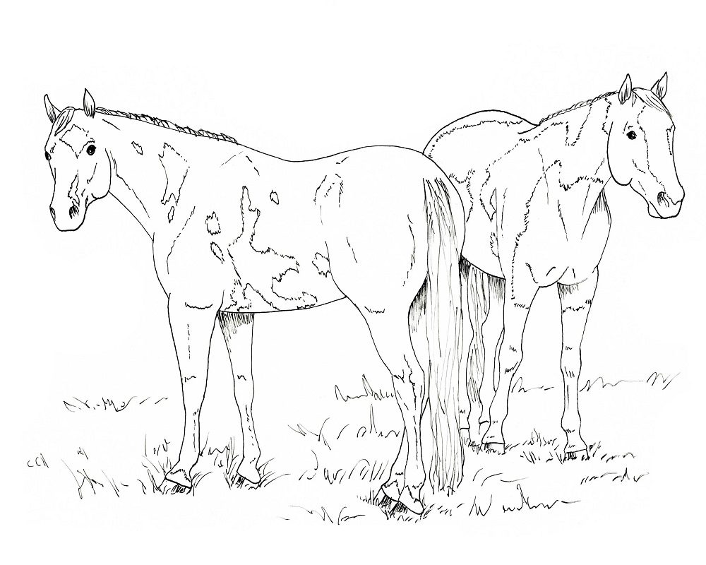 realistic free printable horse coloring pages