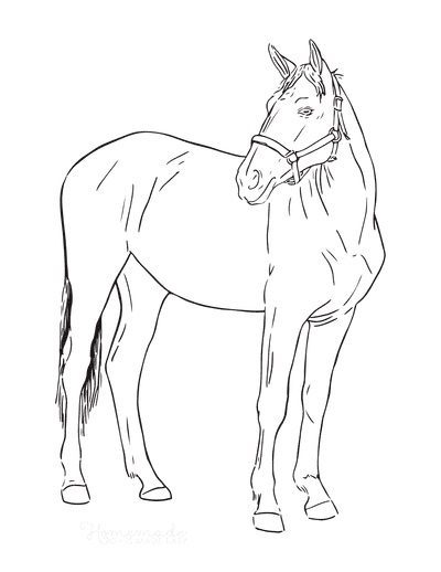 realistic horse coloring pages to print