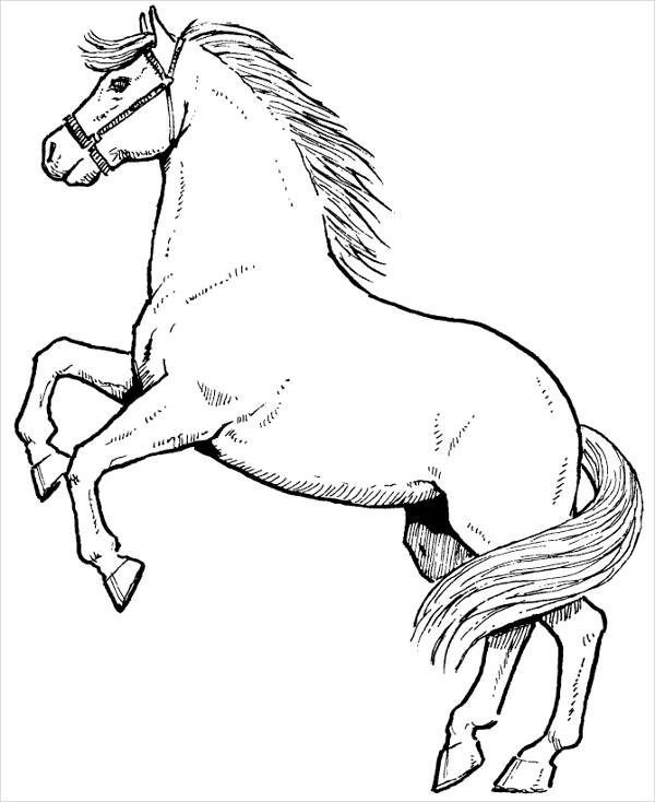 realistic horse gallopin coloring pages