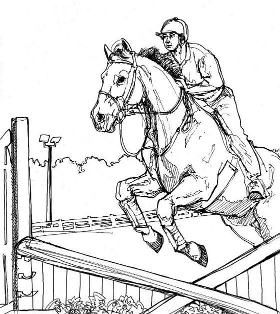 realistic horse jumping horse coloring pages
