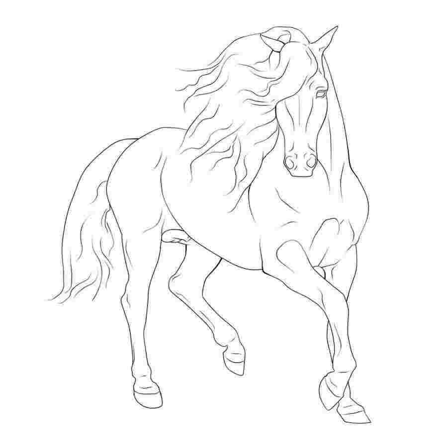 realistic horse running coloring pages