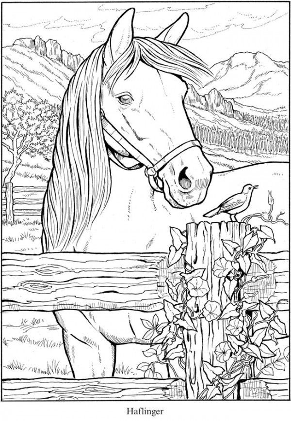 realistic horse stable coloring pages