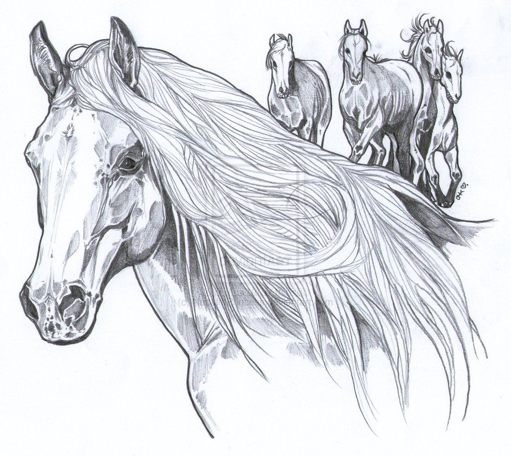 realistic mustang horse coloring pages