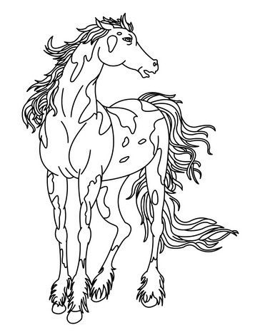 realistic pinto horse coloring pages