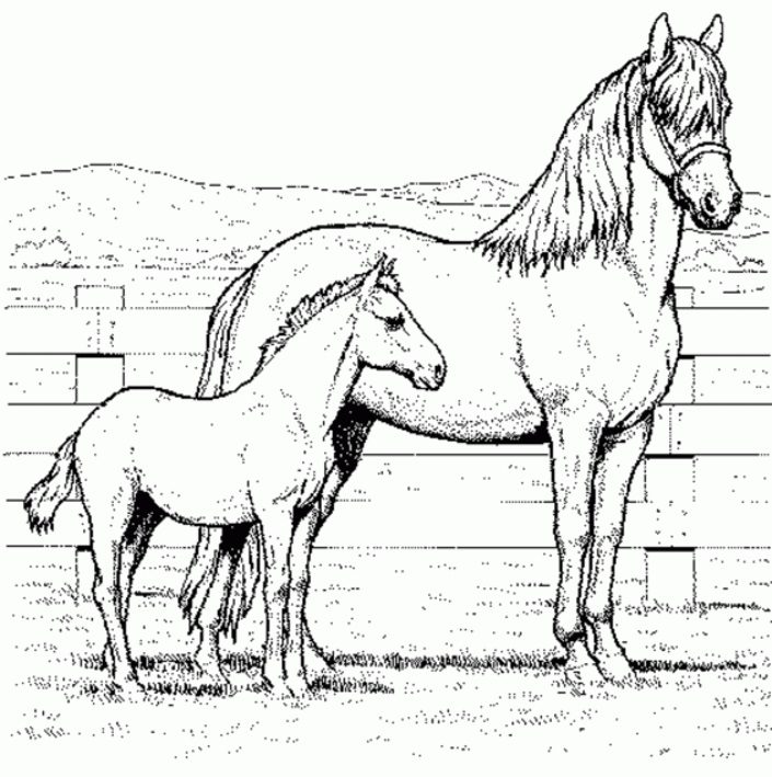 realistic printable horse coloring pages