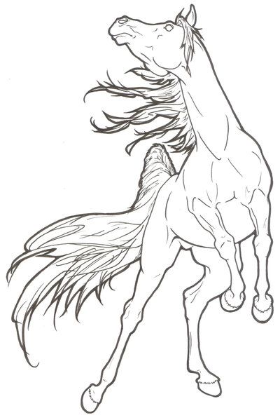 realistic rearing horse coloring pages
