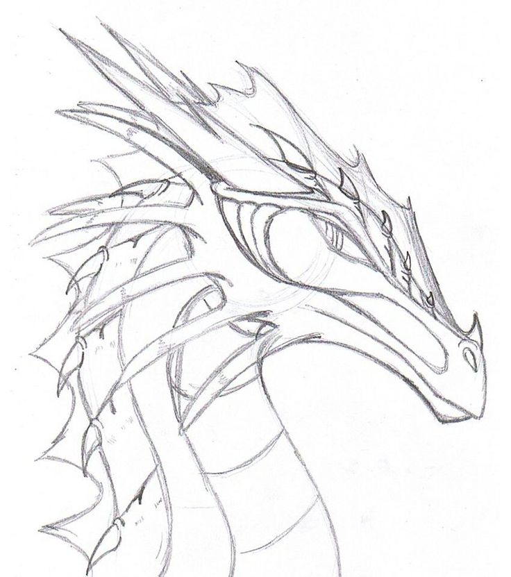 realistic water dragon coloring pages head