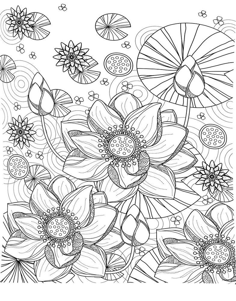 really hard coloring pages of flower water lily