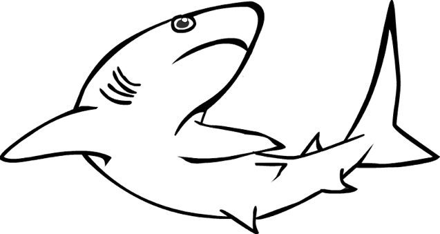 reef shark coloring page