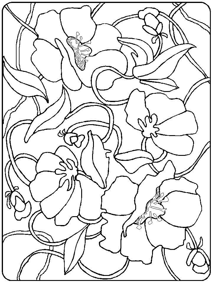 Floral Wall Coloring Pages