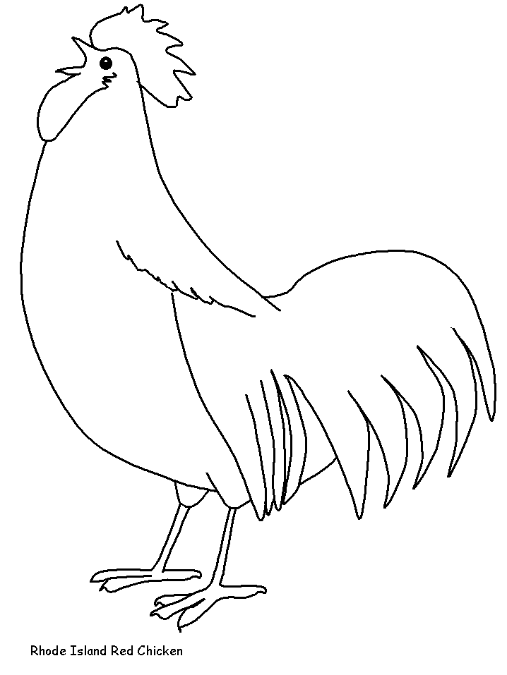 Rhodeislandred Animals Coloring Pages
