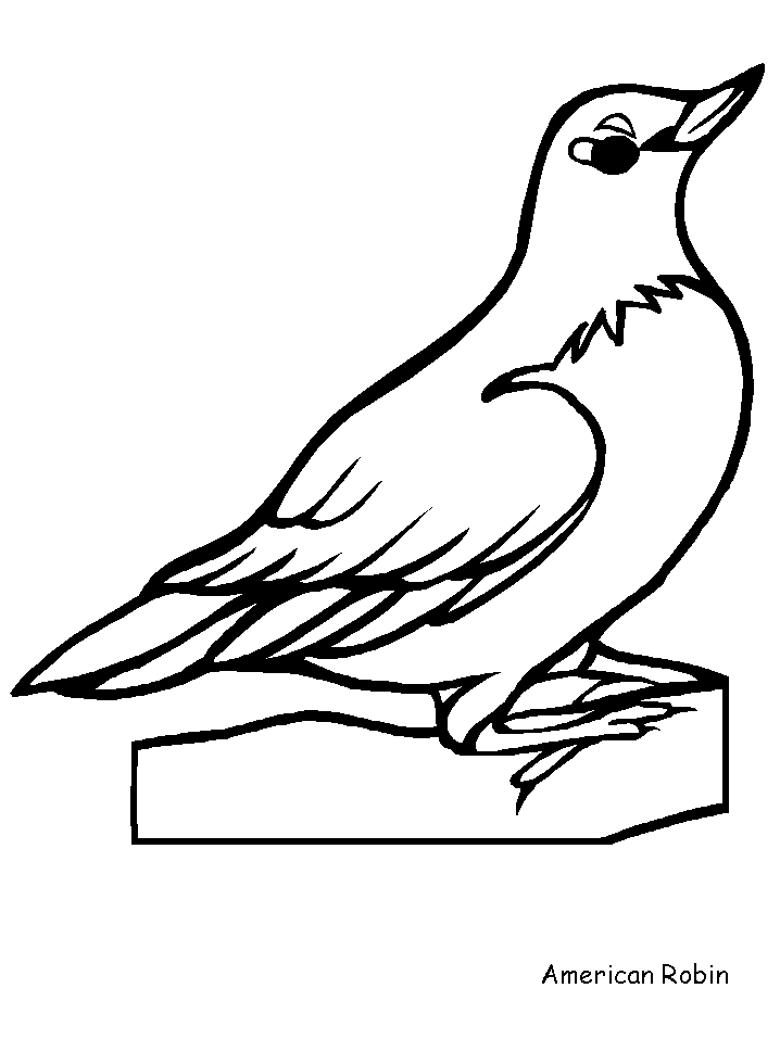Robin Animals Coloring Pages