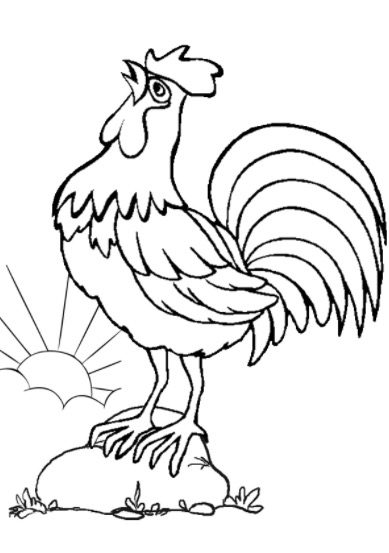 rooster zodiac coloring page