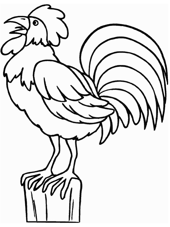 Rooster Animals Coloring Pages