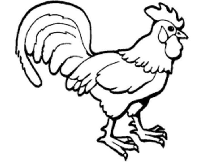 Rooster coloring page