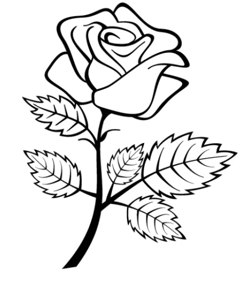 Roses coloring page