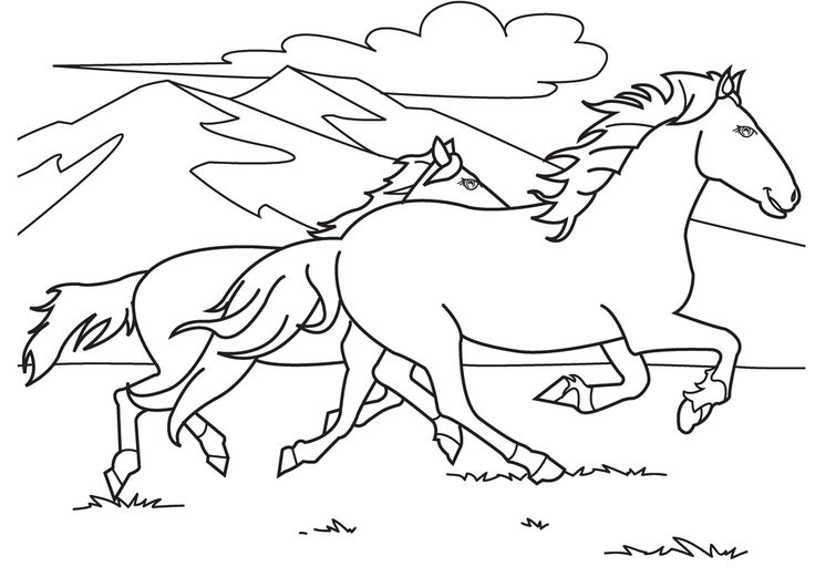 running race horse coloring pages