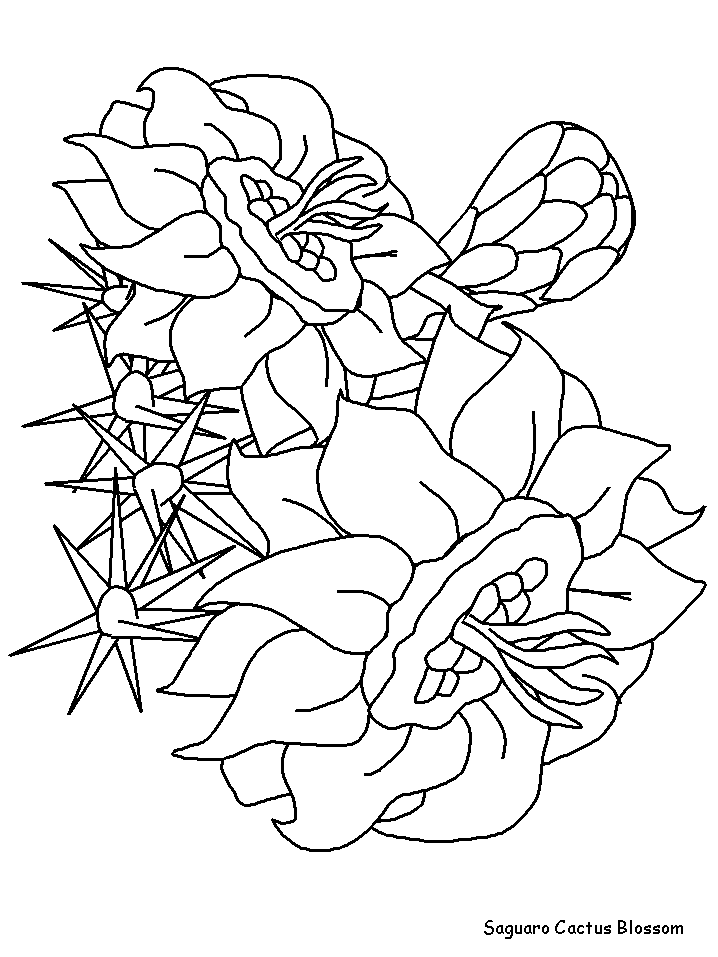 Saguaroblossom Flowers Coloring Pages