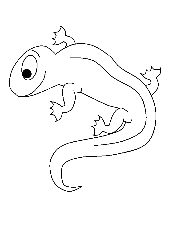 Salamander Animals Coloring Pages