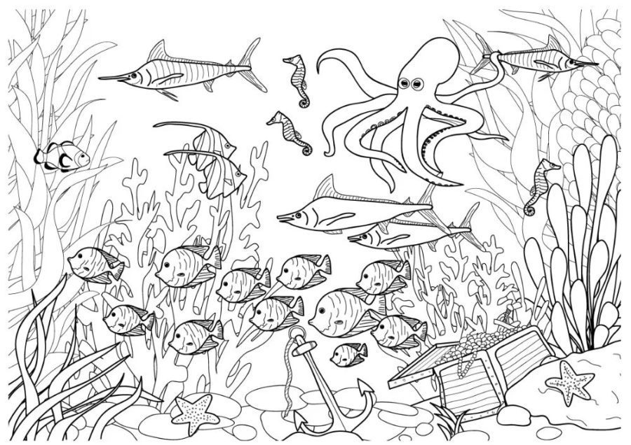 salt water fish coloring pages