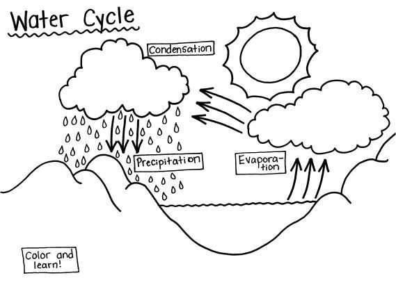 science coloring pages water cycle