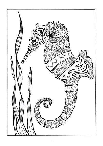 sea horse adult coloring pages