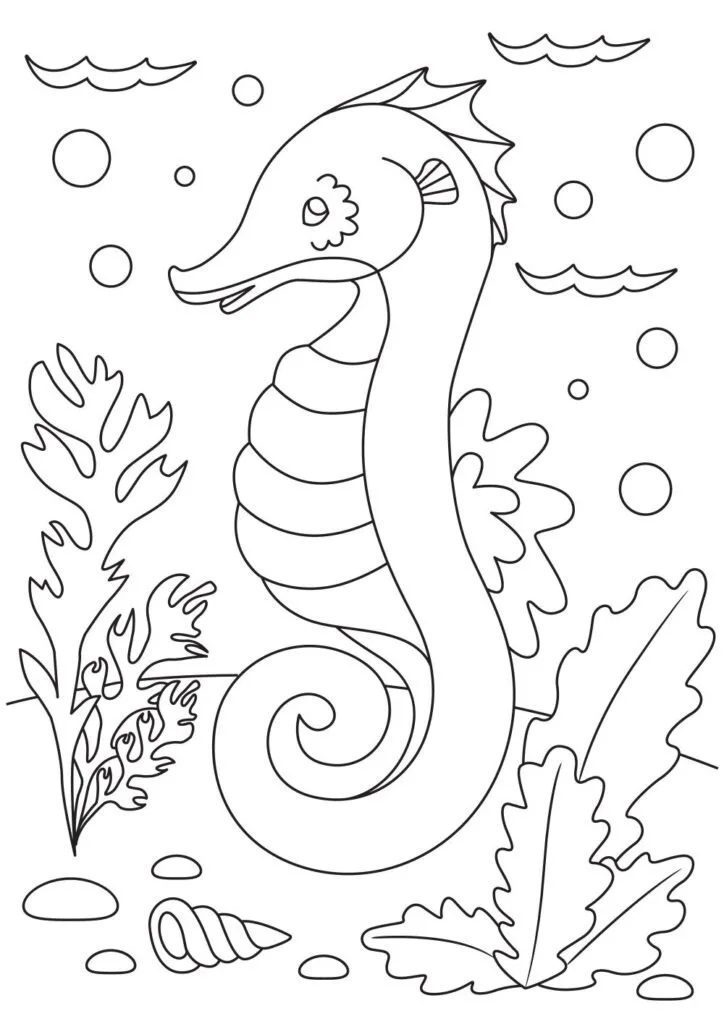 sea horse bat coloring pages