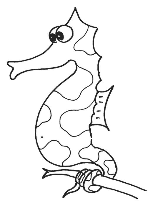 sea horse coloring page