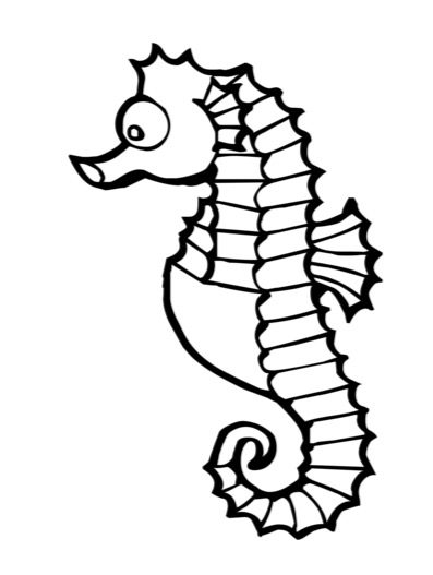 sea horse coloring page