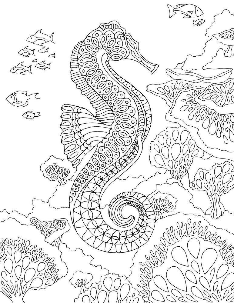 sea horse coloring pages for adults