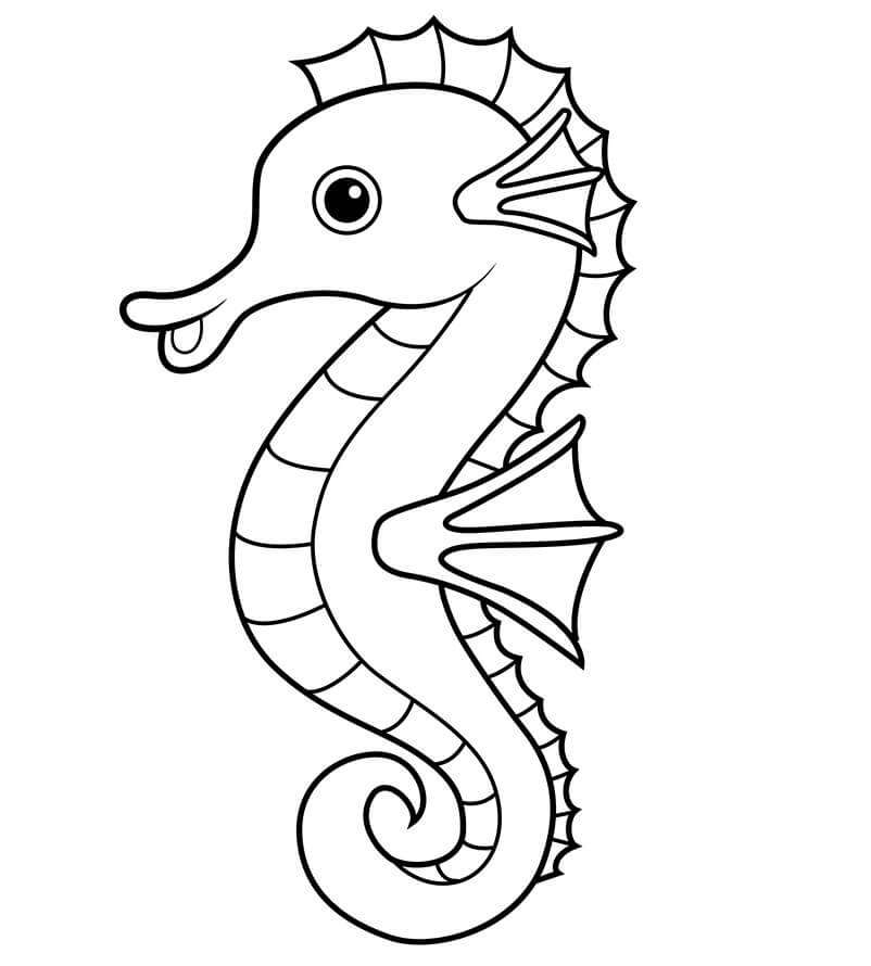 sea horse coloring pages