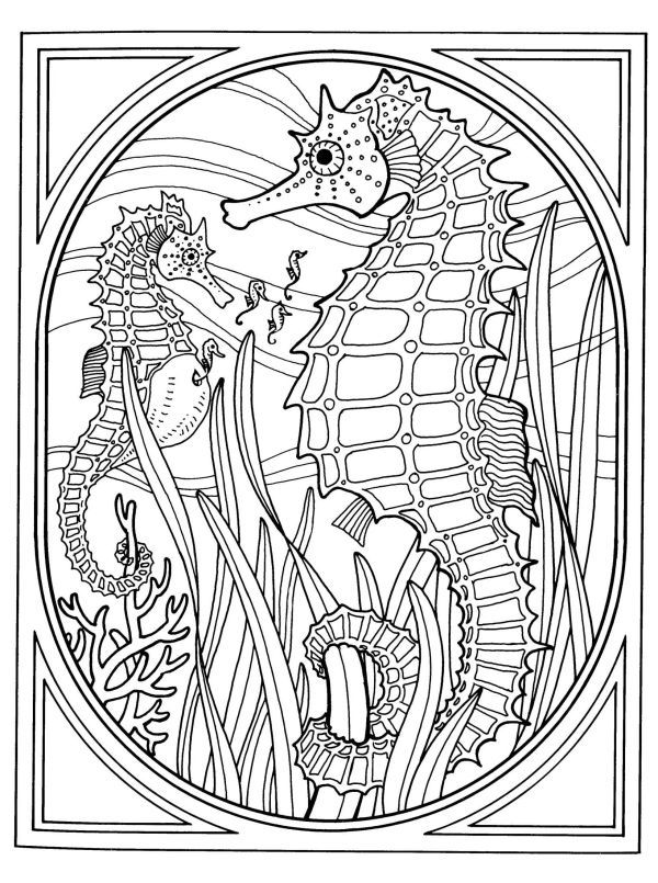 sea theamed horse coloring pages