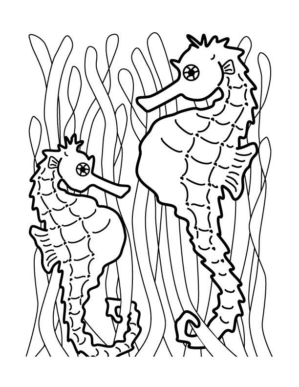 sea themed horse coloring pages