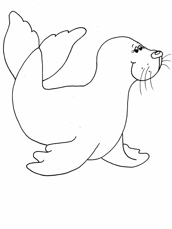 Seal Animals Coloring Pages