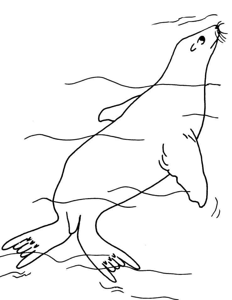 seal in water coloring pages