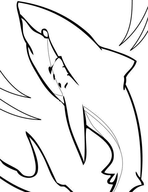Coloring Page shark