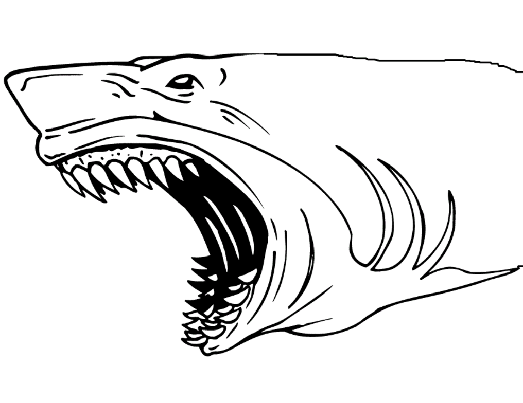 shark jaws coloring page