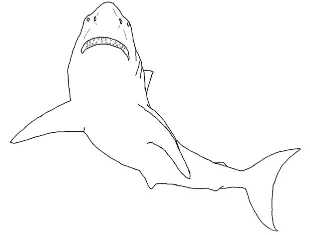 Shark Coloring Page for Kids