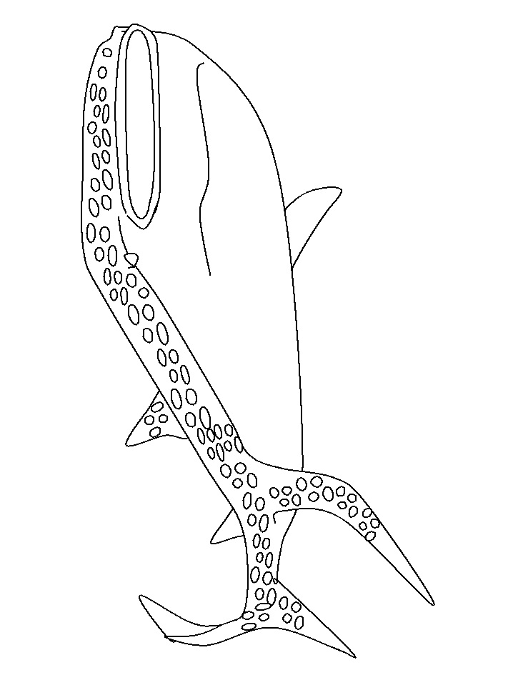 Whale Shark Coloring Pages