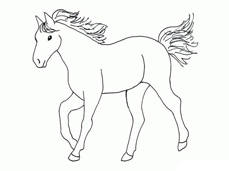 simple horse coloring pages to print