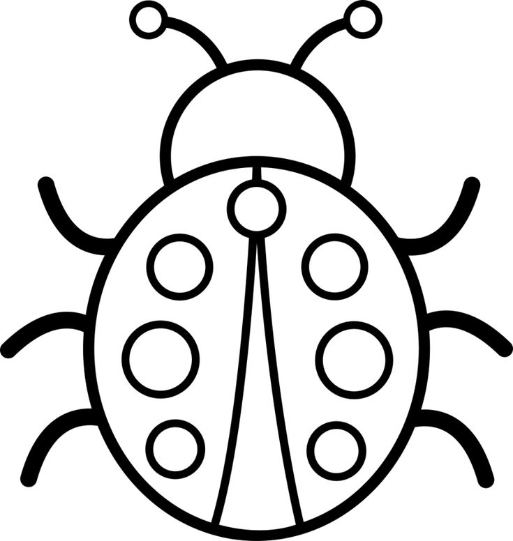 simple ladybug coloring page