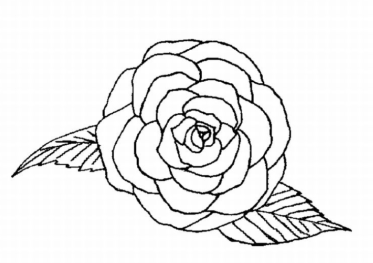 single rose coloring page