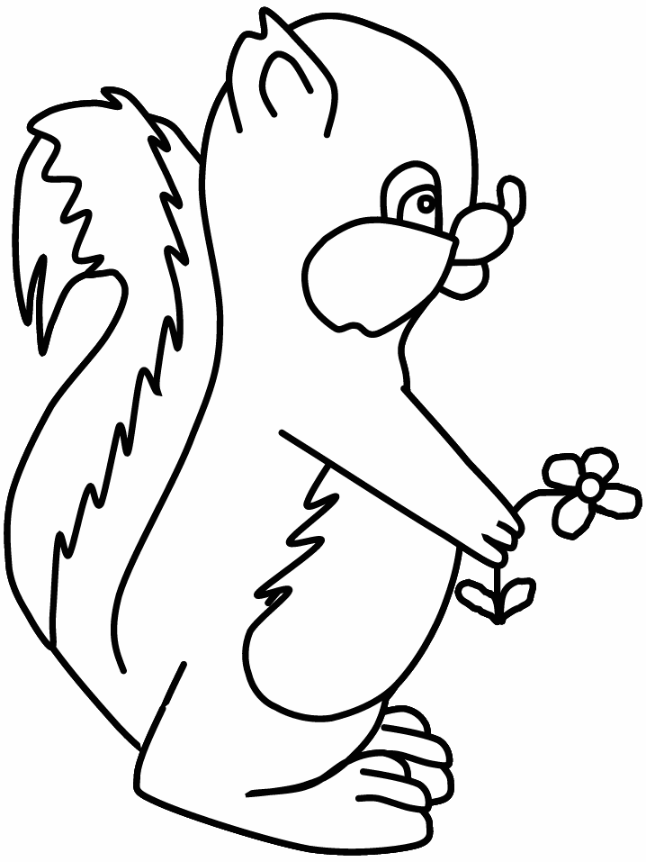 Coloring Page of a Skunk