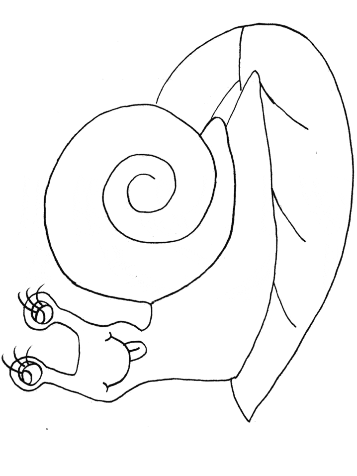 Snail Coloring Pages