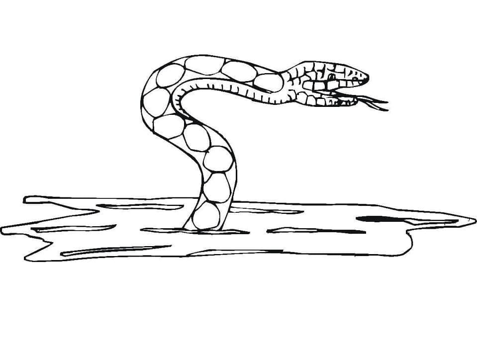snake in the water coloring pages