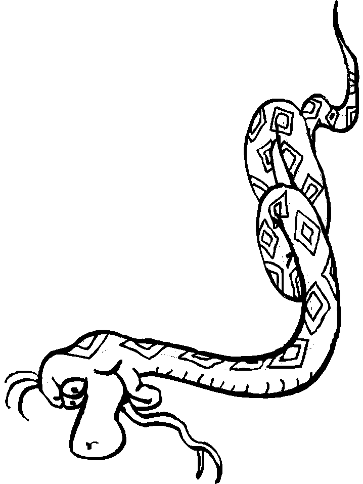 Snake Coloring Pages For Kids